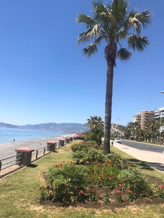 Empire Residence Alanya/Mahmutlar 50M От Моря Exteriér fotografie